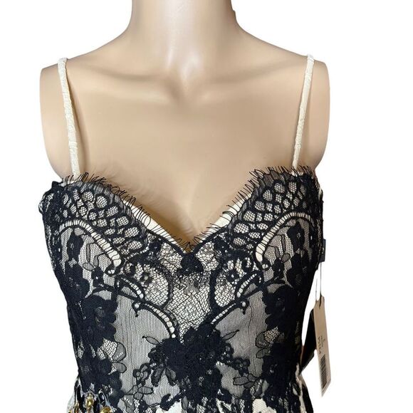 NWT Terani Couture Lace Sweetheart Gown Prom - Picture 2 of 16